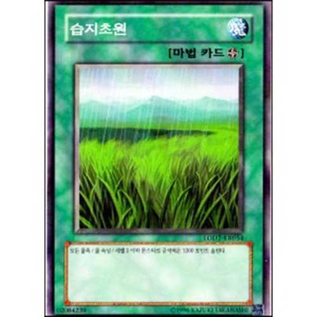초원미디어 이미지