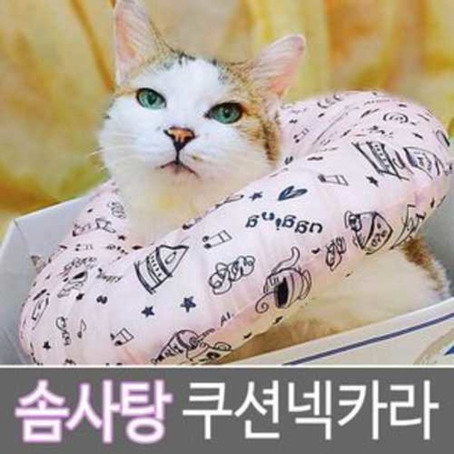 모모솜사탕 이미지