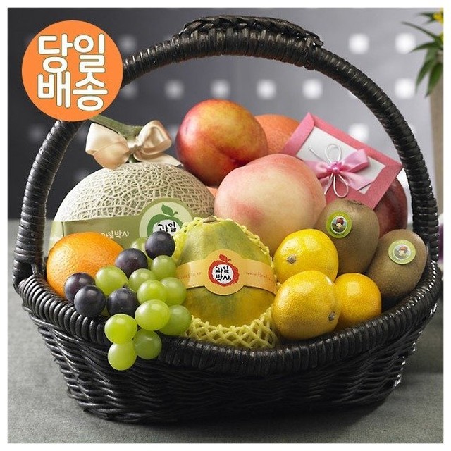 하예라 이미지