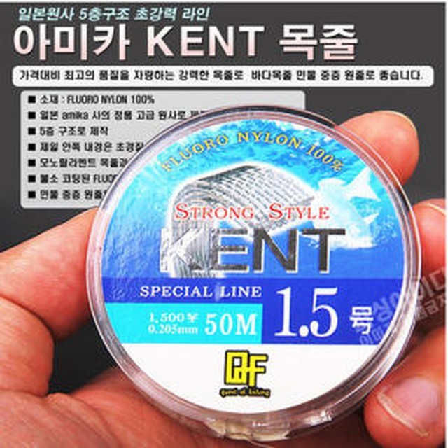 피엘티지 이미지
