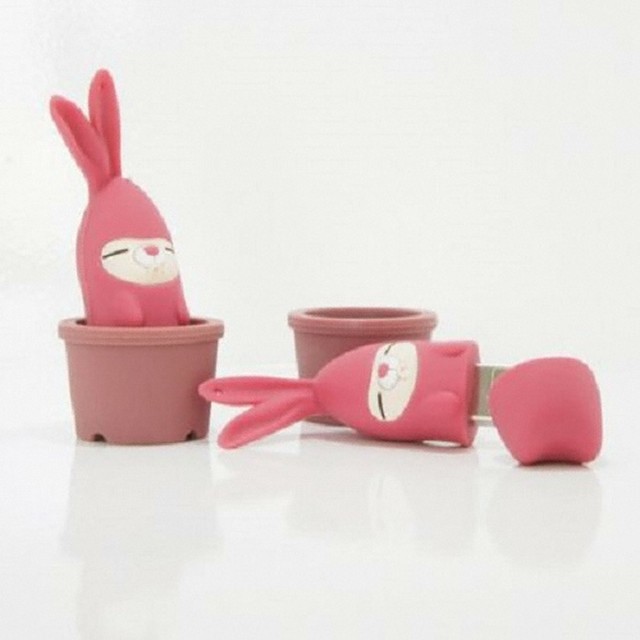 고고마 이미지