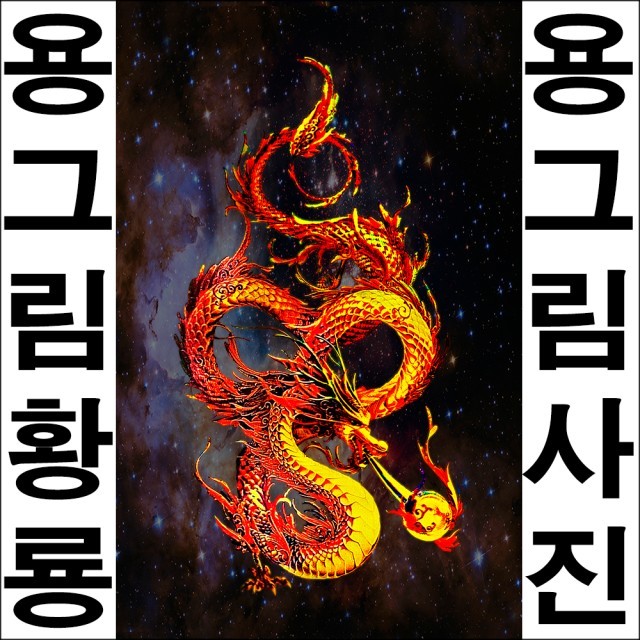 황룡 이미지