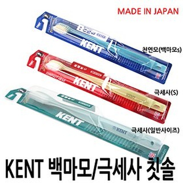 피엘티지 이미지