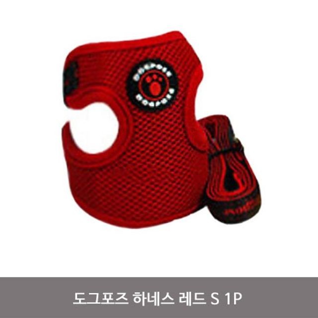 이지도그 이미지