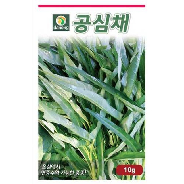 씨앗 이미지
