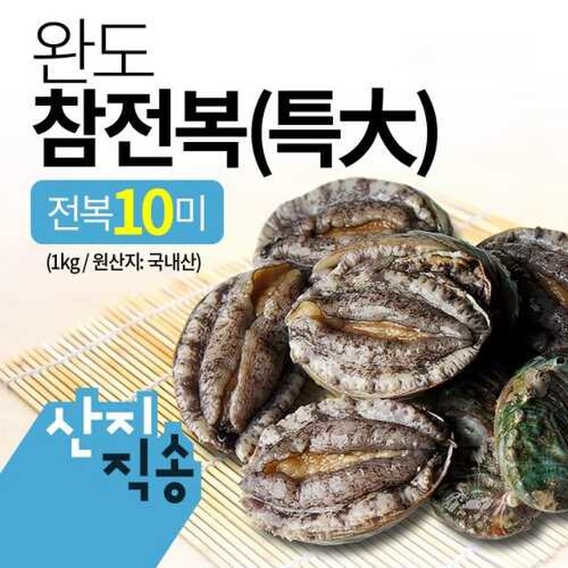 푸른참 이미지