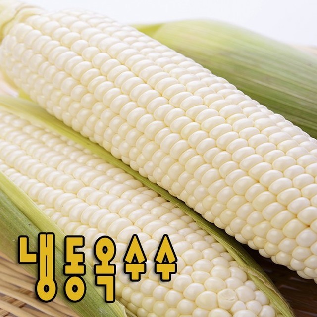 오성냉동 이미지