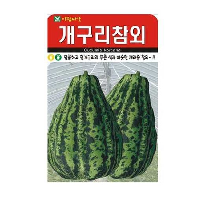 씨앗 이미지