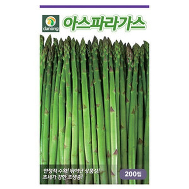씨앗 이미지