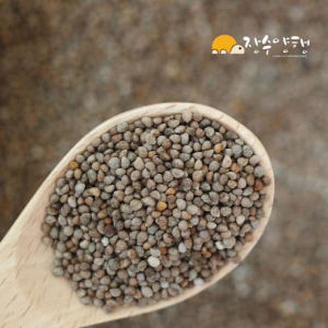 장수양행 이미지