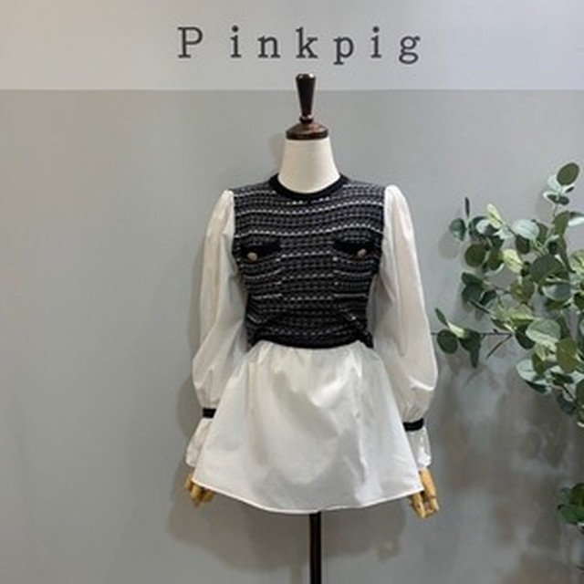 피그니트 이미지