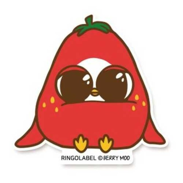 링고라벨 이미지