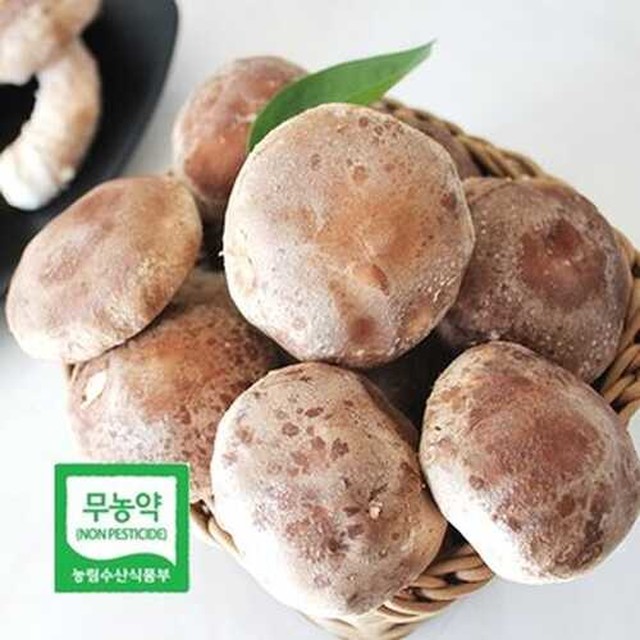 산해리농장 이미지