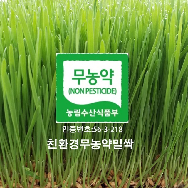 다온약초 이미지