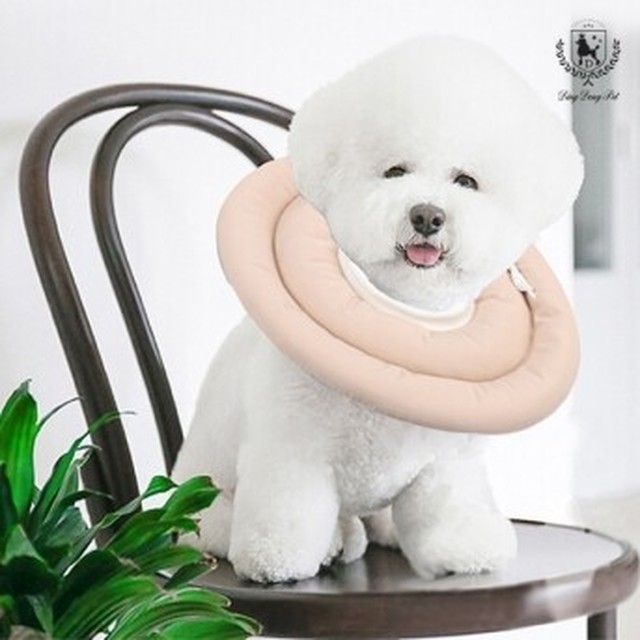 딩동 이미지