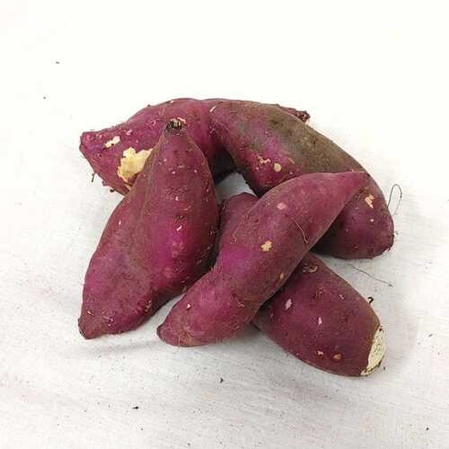 비엠푸드 이미지