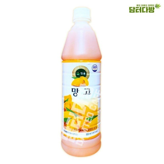 청솔 이미지