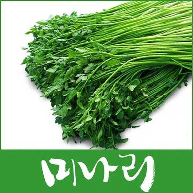 미나리 이미지