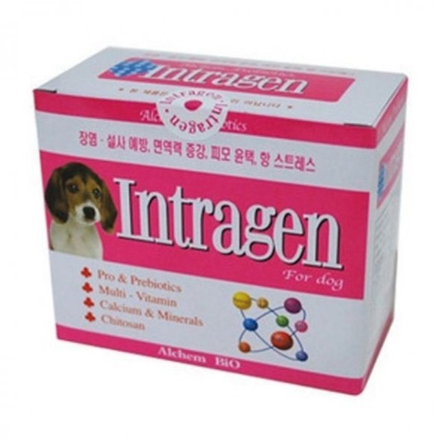 개미상회 이미지