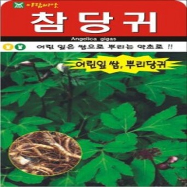 씨앗 이미지