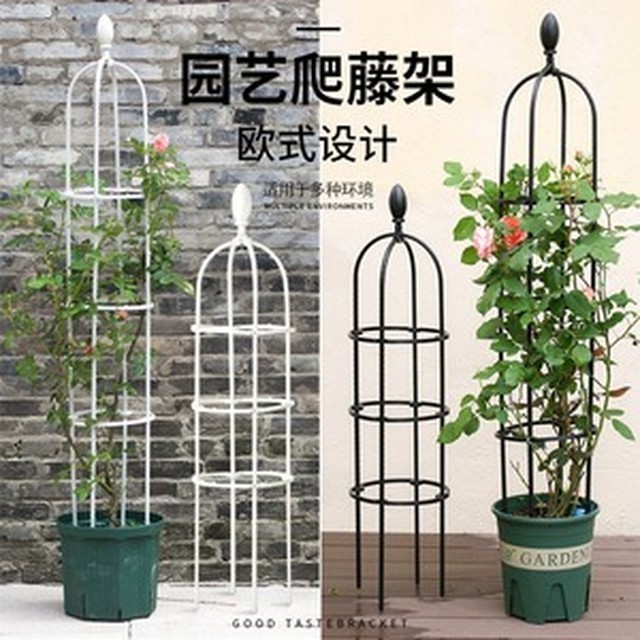 넝쿨화원 이미지