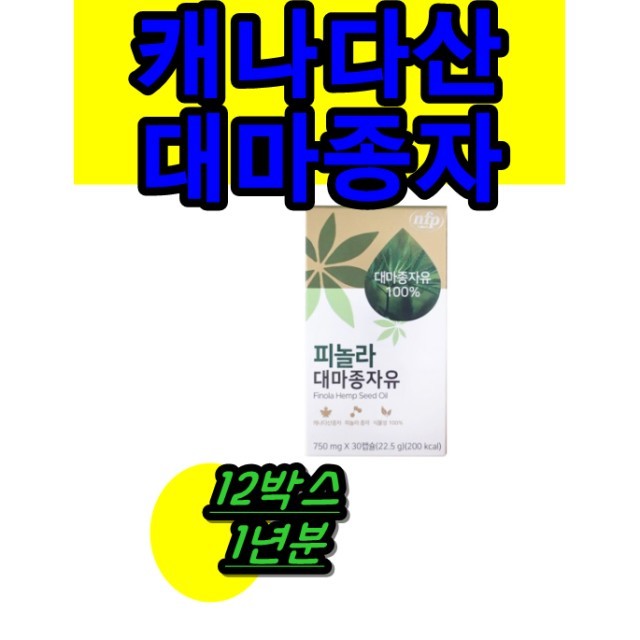 엔에프피 이미지