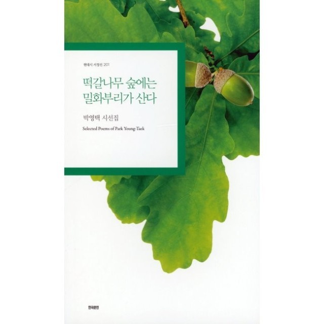 떡갈나무숲 이미지