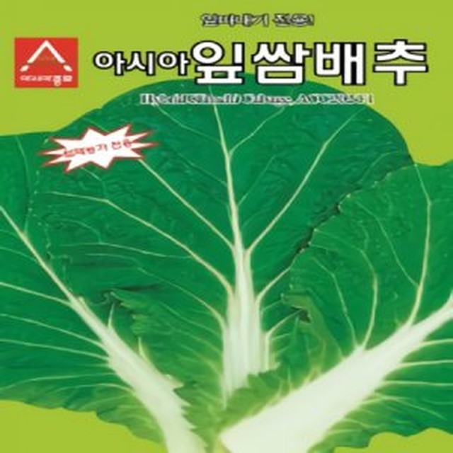 씨앗 이미지