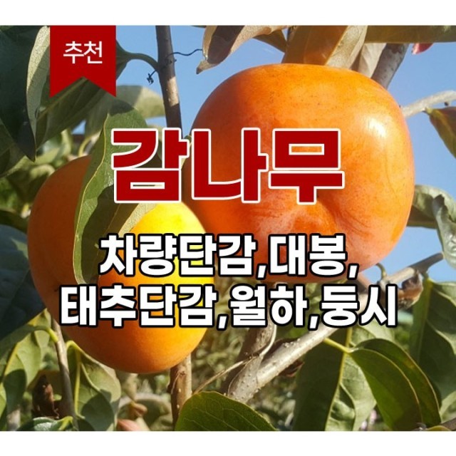 장원농원 이미지