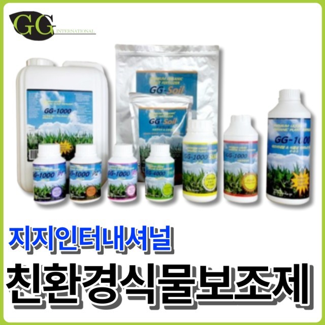 지지인터내셔널 이미지