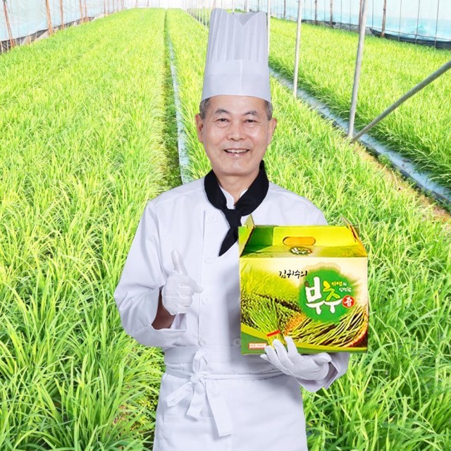 땅끝부추 이미지