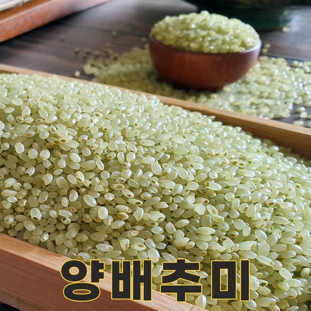 조아 이미지