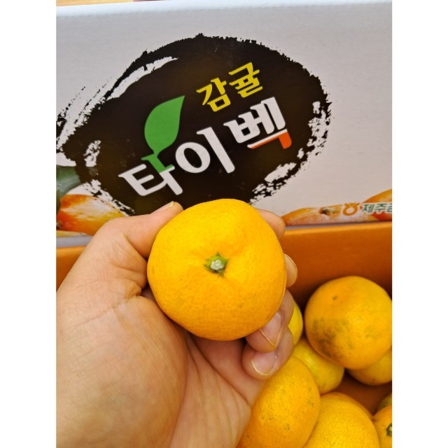 새콤달콤천국 이미지