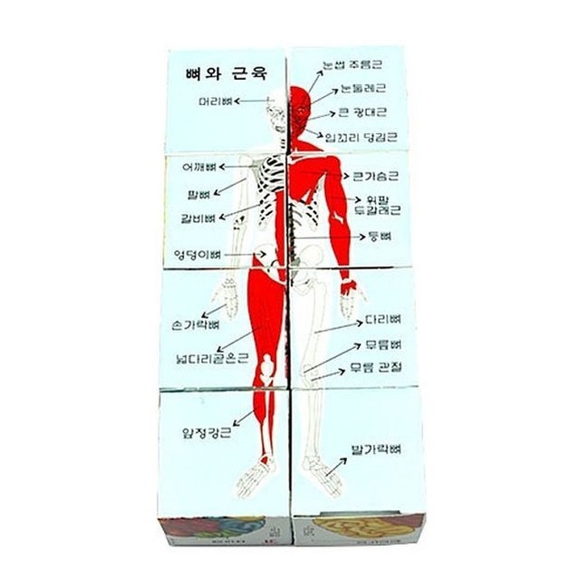 준인테리어 이미지