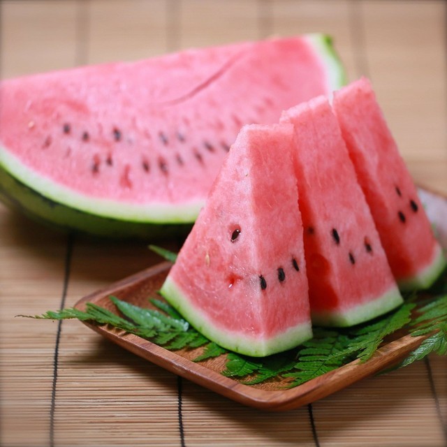 수박 이미지