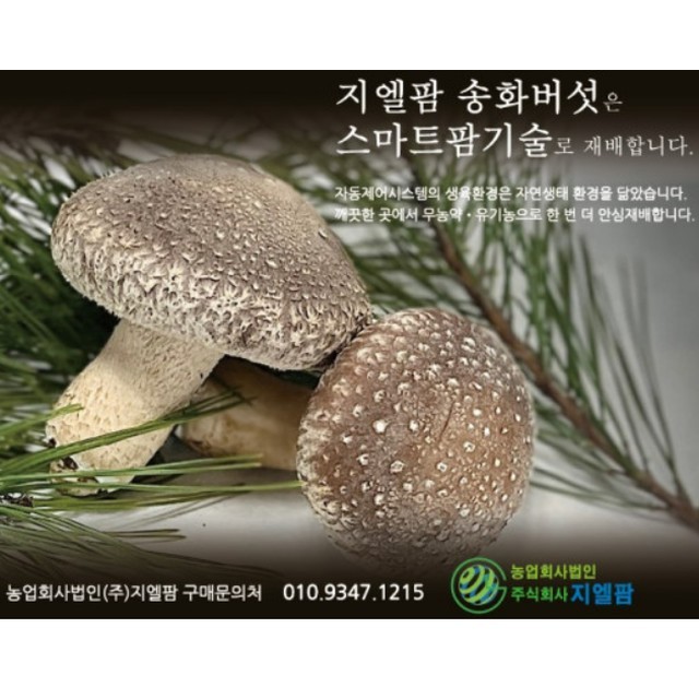 지엘전북 이미지
