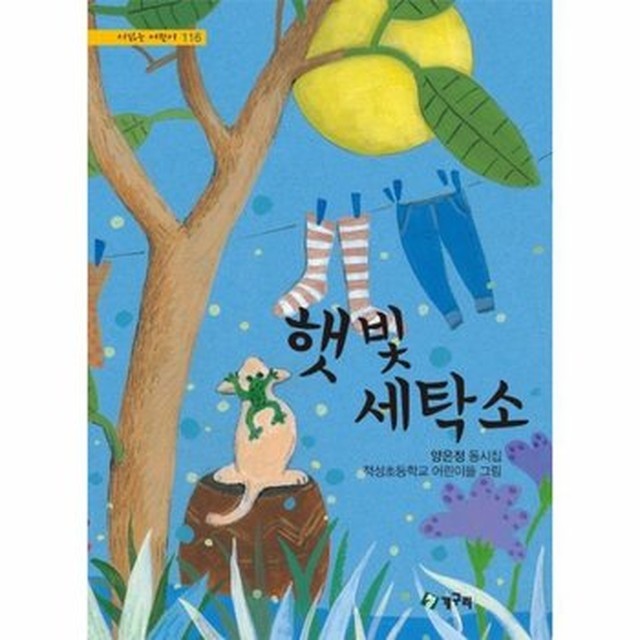 햇빛세탁소 이미지