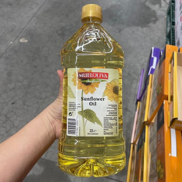 올리바 이미지