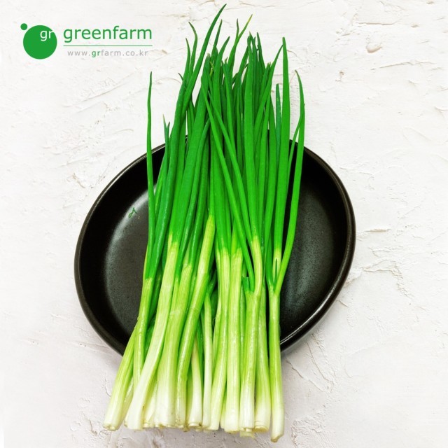 GreenFarm 이미지