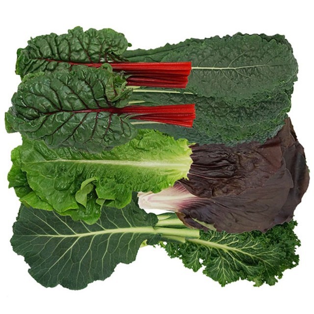 GreenFarm 이미지
