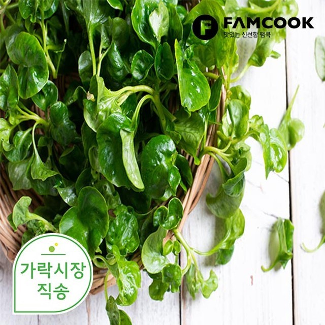 크레숑 이미지