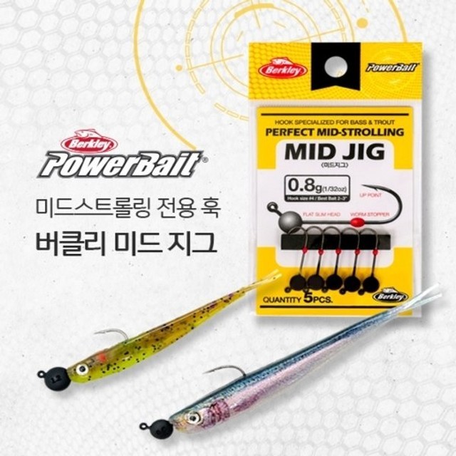 버클리 이미지