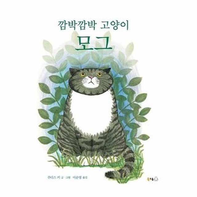 모그 이미지