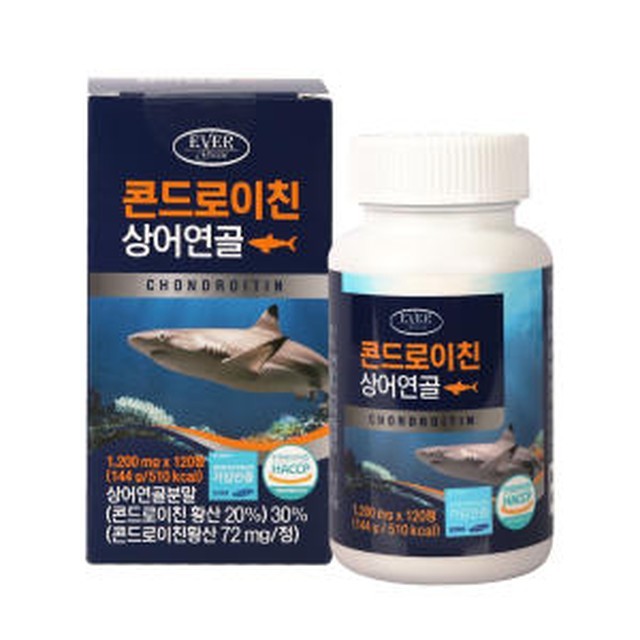 에버그린 이미지