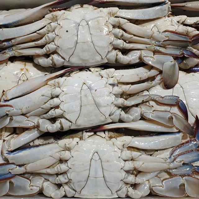 이수산 이미지