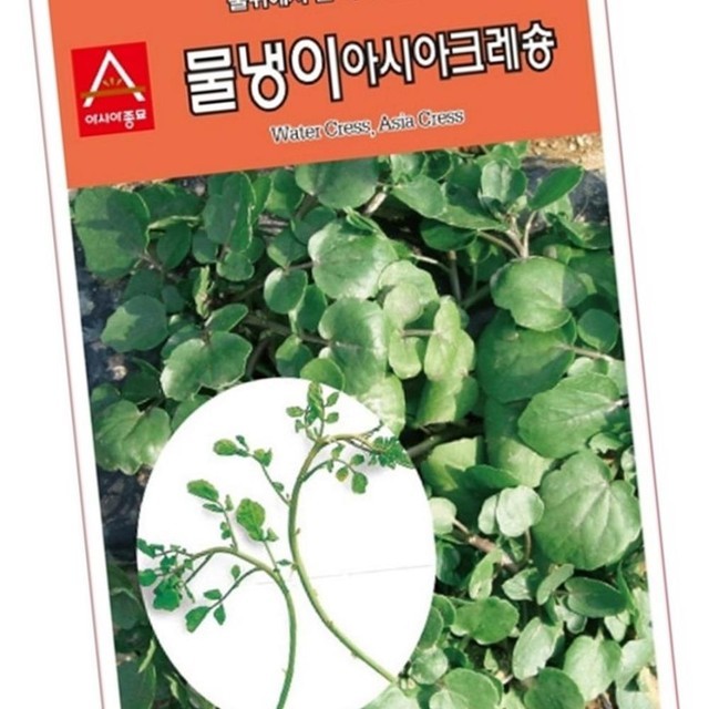 크레숑 이미지