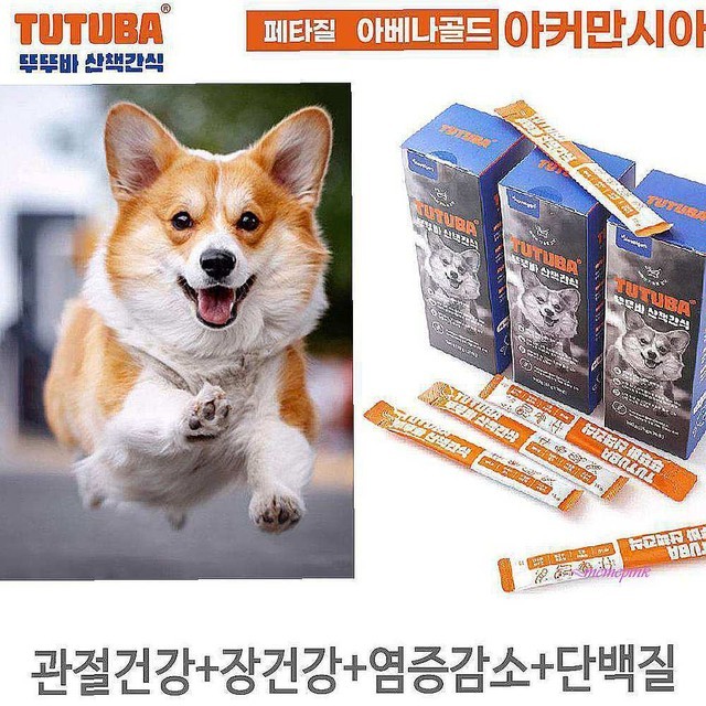 노블젠 이미지
