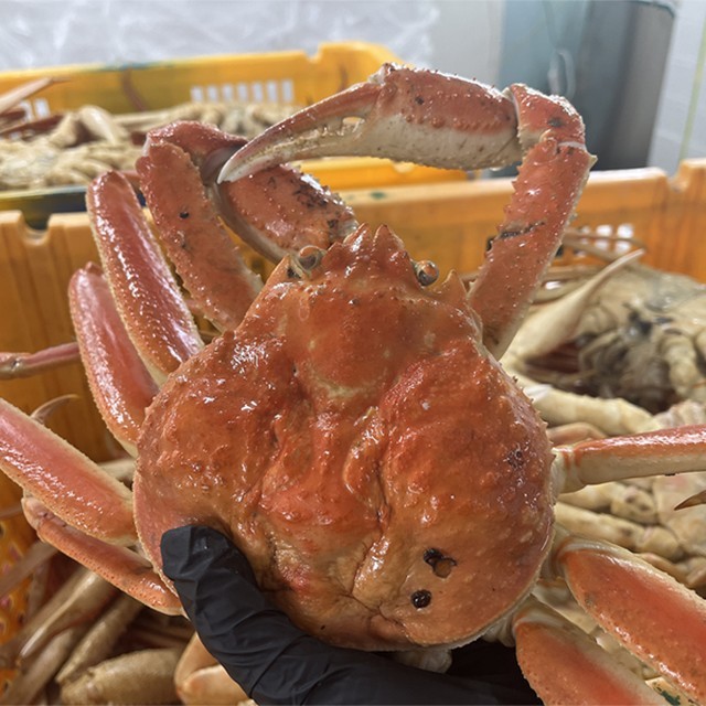 씨푸드 이미지