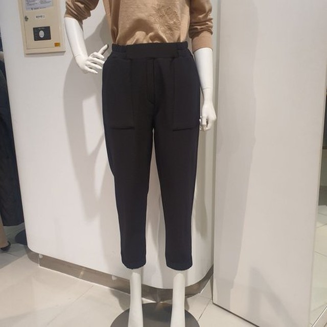 안지크 이미지