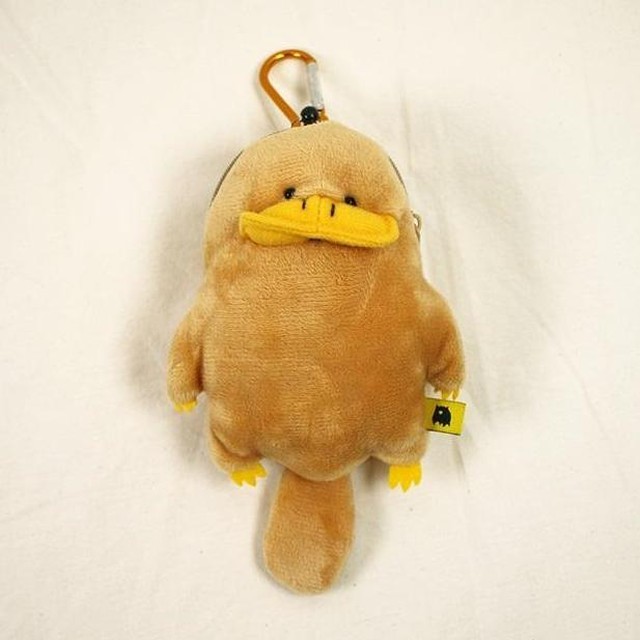 필레오 이미지